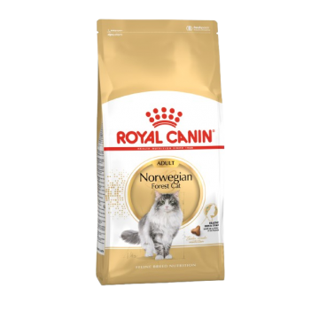 Royal Canin Dry Food Breed Nutrition Norwegian Forest 2kg Royal Canin Dry Food Breed Nutrition Norwegian Forest 2kg